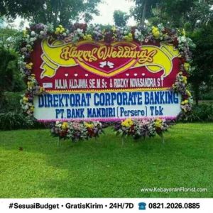 bunga papan jumbo, bunga papan besar